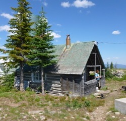 Forestry shack