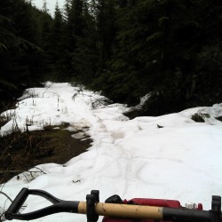 walean-creek-trail-stopped-at-snow-